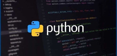 在python中文件打开模式rd代表什么意思