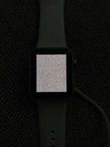 iwatch se充电充不进去
