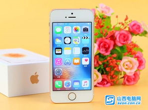 iPhone se是全网通的吗