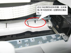 打印机带纸怎么办