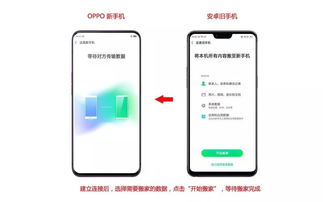 oppo手机二维码在哪里