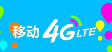 100元有多少4g流量呢谢谢