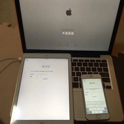 苹果鼠标pin码是什么