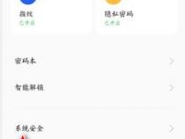 oppo手机安装软件的超级守护如何关闭