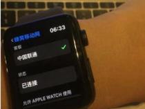 apple watch se可以打电话吗