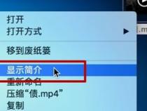 苹果笔记本电脑的默认视频播放器是什么