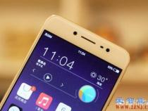 vivo1000左右手机寿命是几年