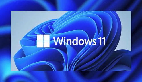 笔记本用win10还是win11