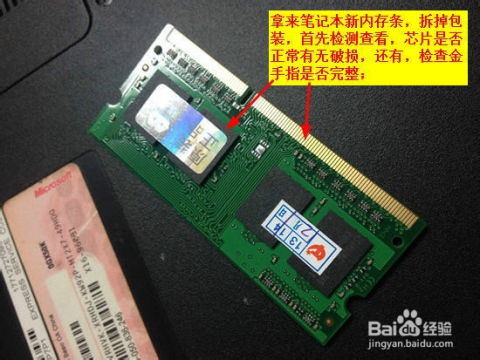 dell的笔记本用什么牌子的内存条