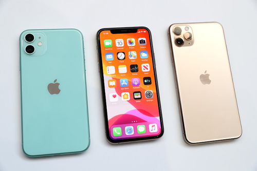 iphone 11有指纹吗