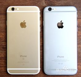 肉眼怎么区分苹果6、6s、6P、6SP