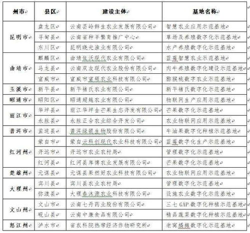您应该在2021年购买的7种最佳运动相机