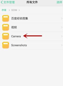 oppo手机的相册在手机的哪个文件夹里面