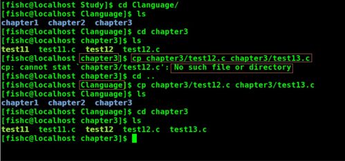 Linux文件的复制、删除和移动命令是.