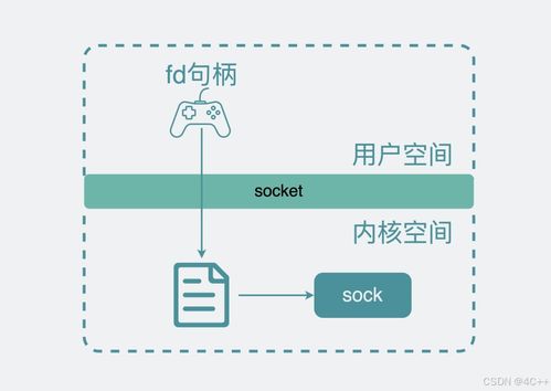 socket是什么呀