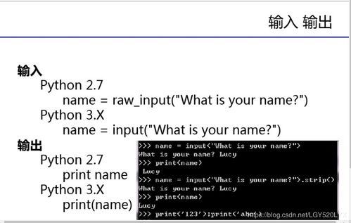 Python 语句和注释