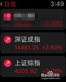 苹果的笔记本上可以装炒股软件吗