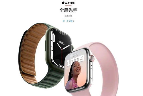 applewatchseries和se区别