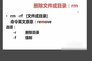请教在linux 怎么用rm 删除目录和文件.不要提示