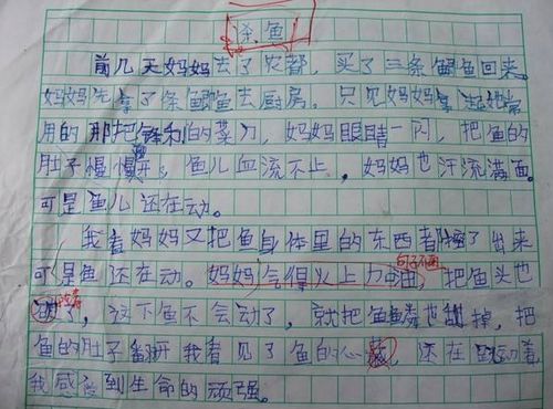 智能手机于普通手机做比较作文600