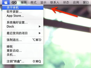 苹果电脑关于本机在哪