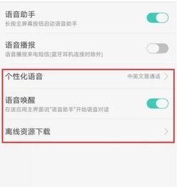 oppor11s语音助手在哪