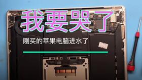苹果笔记本a2179参数