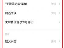 oppo手机怎么解除盲人模式