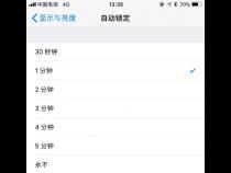 苹果se屏幕待机时间怎么设置