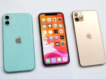 iphone 11有指纹吗