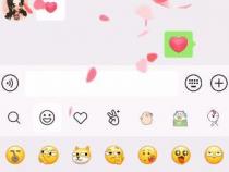 微信炸屎特效上线oppo手机微信有炸弹那个特效吗