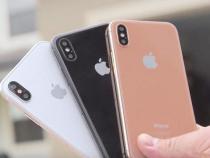 iPhone将迎来苹果紫新配色