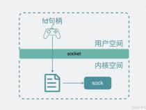 socket是什么呀