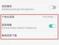 oppor11s语音助手在哪
