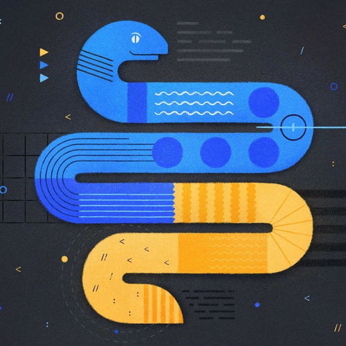 学python可以参加什么比赛