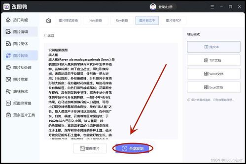 PS如何提取图片中的文字ps如何提取图片中的文字字体