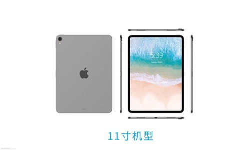 19款macbookpro16寸配置参数