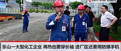 防爆手机品牌排行榜