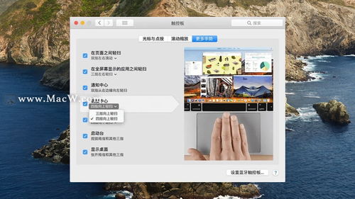 苹果电脑怎么开布局怎么设置苹果电脑桌面应用布局