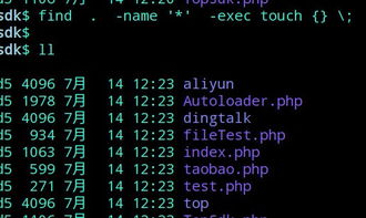 linux下怎么删除目录以及子目录下的一些文件