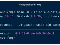 数据库文件db格式导入MySQL的方法db文件导入mysql