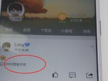 OPPO手机拍照怎么显示手机型号