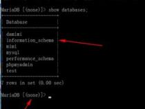 cmd 命令怎么进入mysql数据库