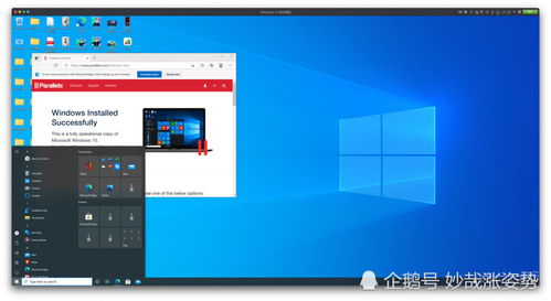 苹果电脑可以装windows10吗
