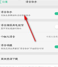 oppo手机的语音助手在哪里设置