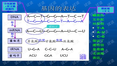 dbSNP 数据库