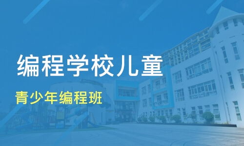 济南学编程的有几个学校
