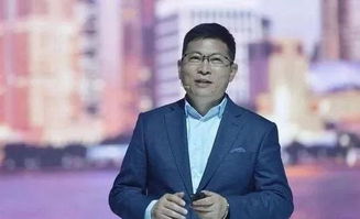 适合中年人用的华为手机