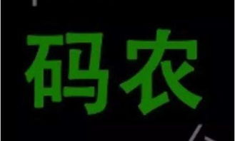 码农什么意思