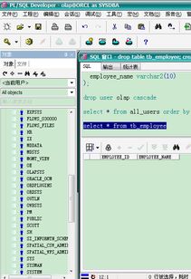 PLSQL中如何删除用户数据库